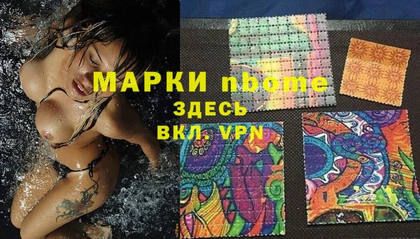 крисы Ельня