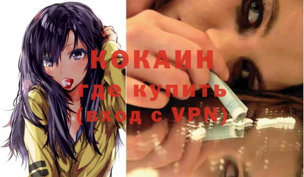 кокс Дмитров