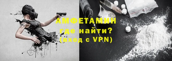 крисы Ельня