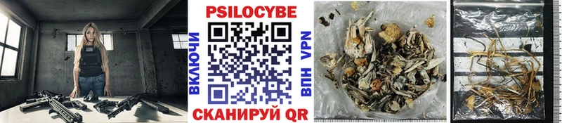Псилоцибиновые грибы мухоморы  Купить где  Нерчинск 