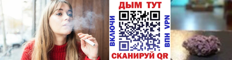 Купить закладки  Нерчинск  Бошки марихуана планчик 